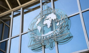 What crimes does Interpol deal with?