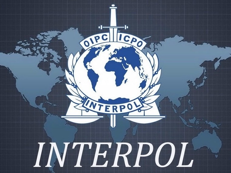 interpol makes arrest