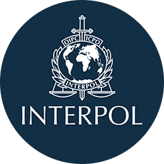 Interpol Application for Revision