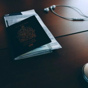 What Is an INTERPOL Red Notice?